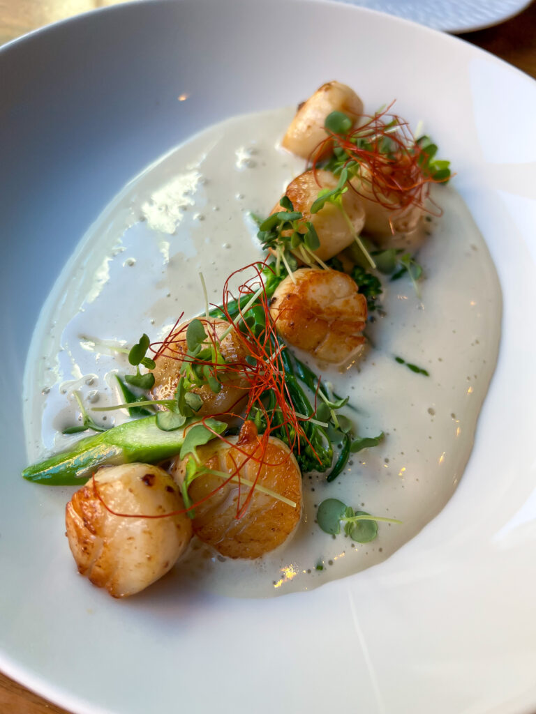 Scallops caught by divers